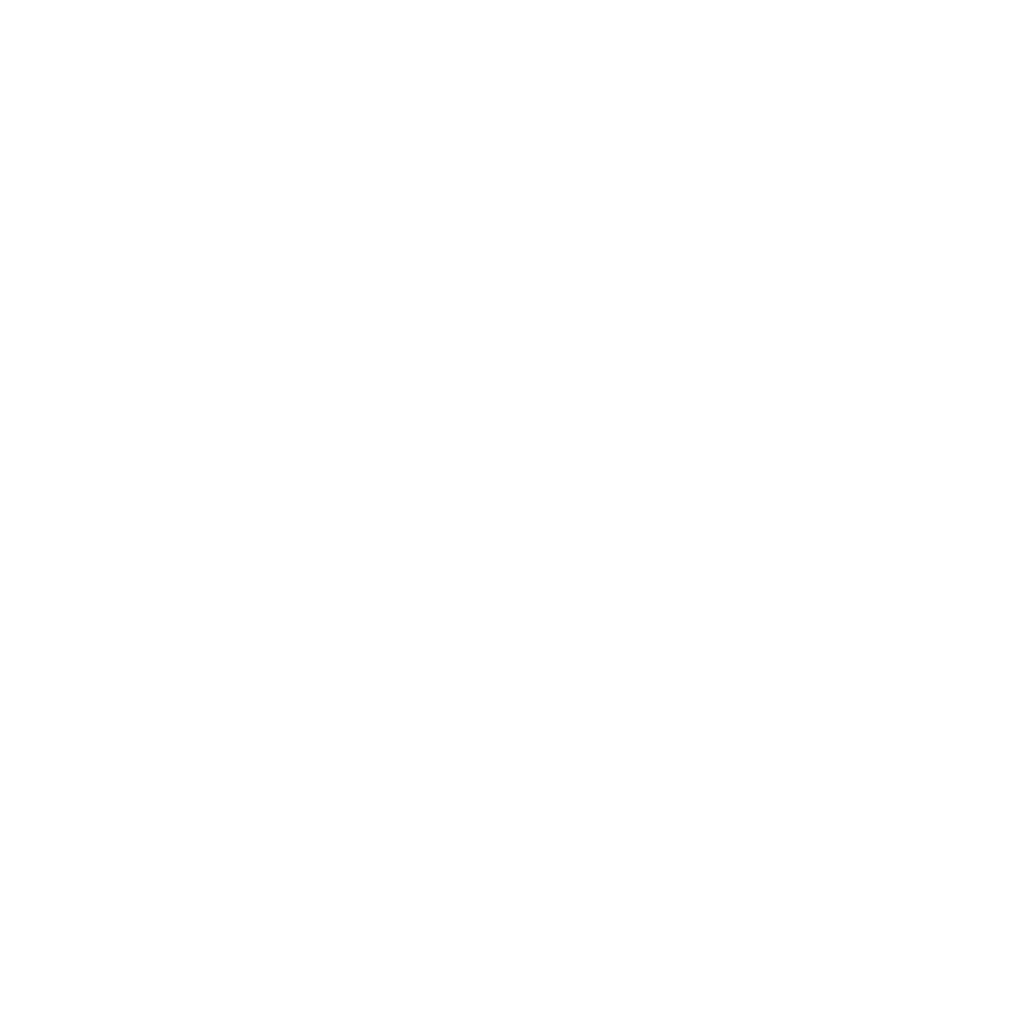 The Holistic Vibe logo: Holistic wellness and Quantum Nutrition Testing for humans and pets.