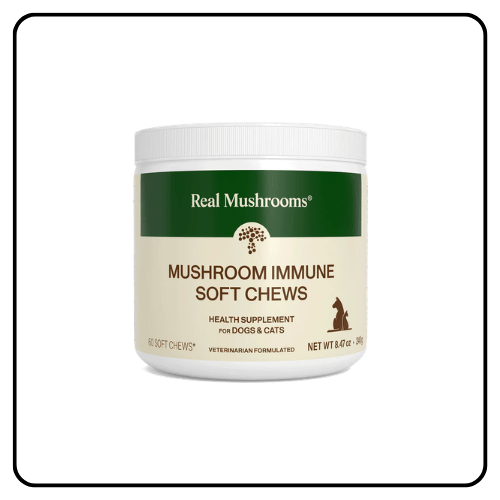 Real Mushrooms Mushroom Immune Pet Chews packaging beside soft chews, showcasing a premium botanical formula for canine and feline vitality.