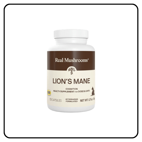 Real Mushrooms brand bottle of Organic Lion's Mane extract capsules for pet cognitive health, showing clean sourcing indicators for dogs and cats.