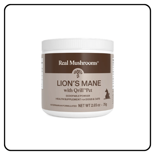 Real Mushrooms Lion's Mane with Qrill Pet supplement container next to a scoop of functional mushroom powder, highlighting pure brain and gut support for dogs and cats.
