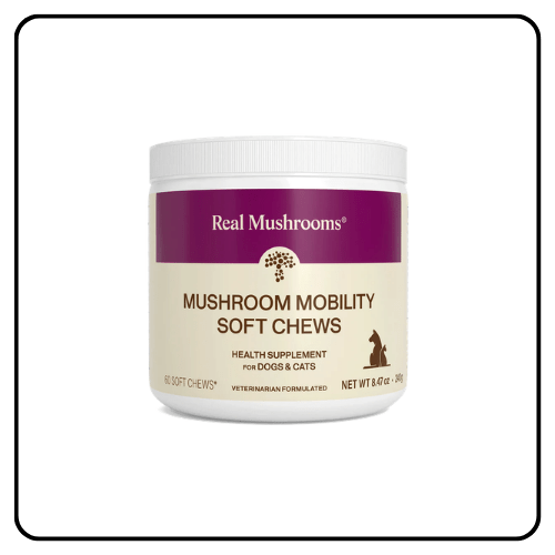 Real Mushrooms Mushroom Mobility Pet Chews container, showcasing the veterinarian-formulated mushroom joint supplements for dogs and cats.