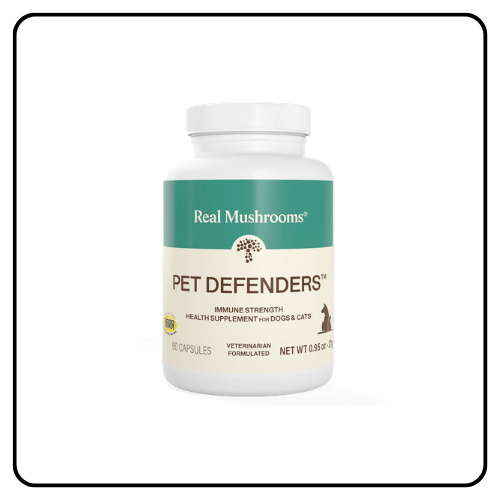 Real Mushrooms Organic Mushroom Blend Capsules for dogs and cats, displaying the premium functional mushroom supplement bottle containing pure fruiting body extracts for pet wellness.