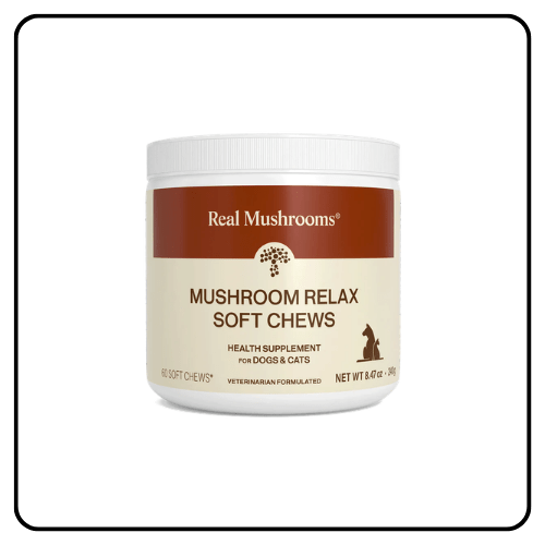 Real Mushrooms Mushroom Relax Pet Chews bottle next to individual soft chews, showing the organic calming supplement for dogs and cats.