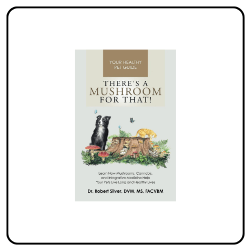 Front cover of the book There's a Mushroom for That by Dr. Rob Silver, a holistic mushroom guide for pets focused on botanical and integrative wellness.