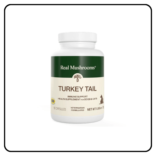 Real Mushrooms Turkey Tail Extract Capsules for Pets bottle next to loose supplement capsules, featuring grain-free organic mushroom extracts for dog and cat immune wellness.