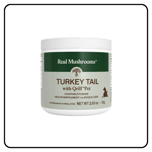 Real Mushrooms Turkey Tail with Qrill Pet supplement container and scoop, showing the organic mushroom meal-topping powder next to a pet food bowl.