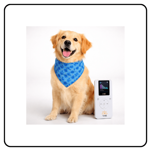 Resona Health VIBE Dog Bandana Bundle showing the portable PEMF therapy device integrated into a secure, comfortable dog bandana for targeted wellness placement.